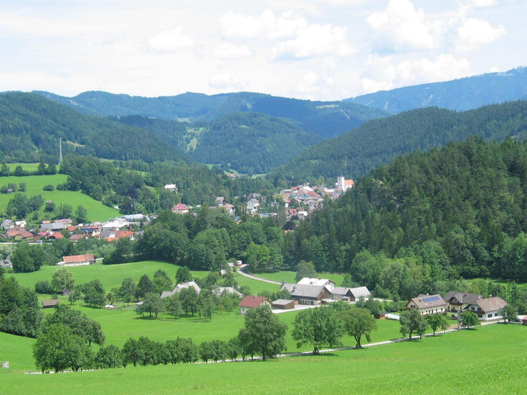 Ferienwohnung Haus Koenig Türnitz Extérieur photo