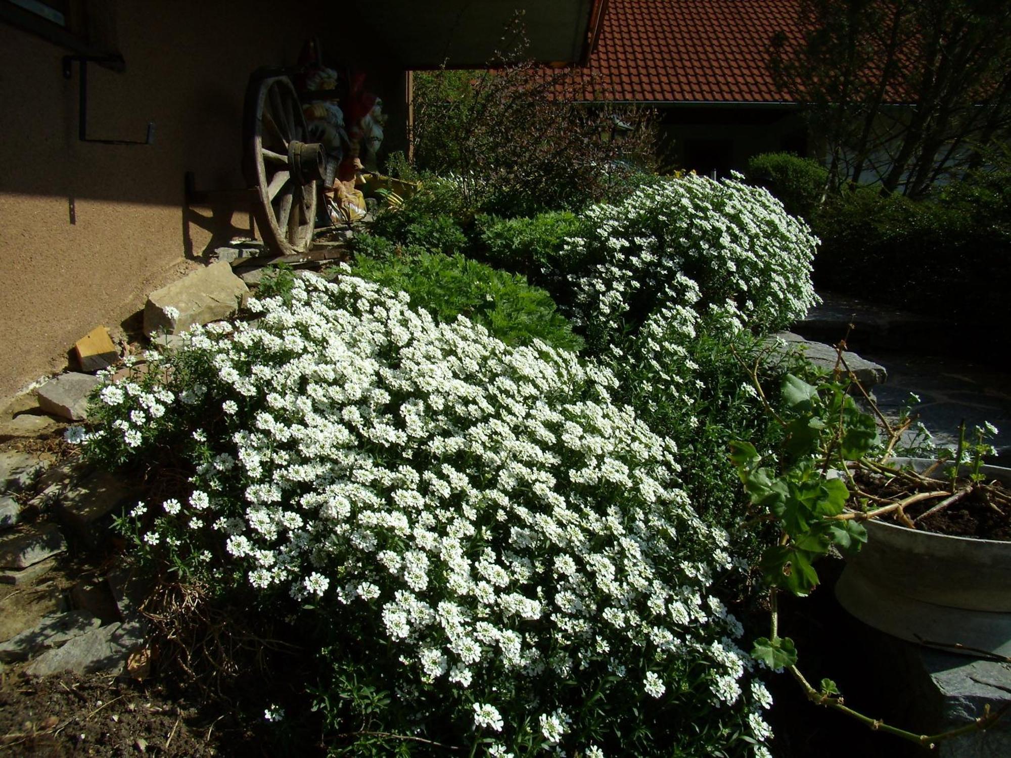 Ferienwohnung Haus Koenig Türnitz Extérieur photo